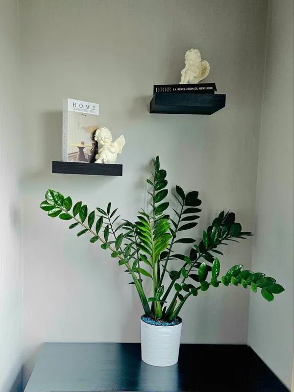 Уютная квартира в центре Южно-Сахалинска