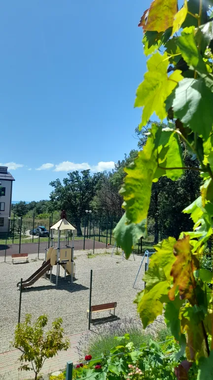 Квартира с видом на лес и море