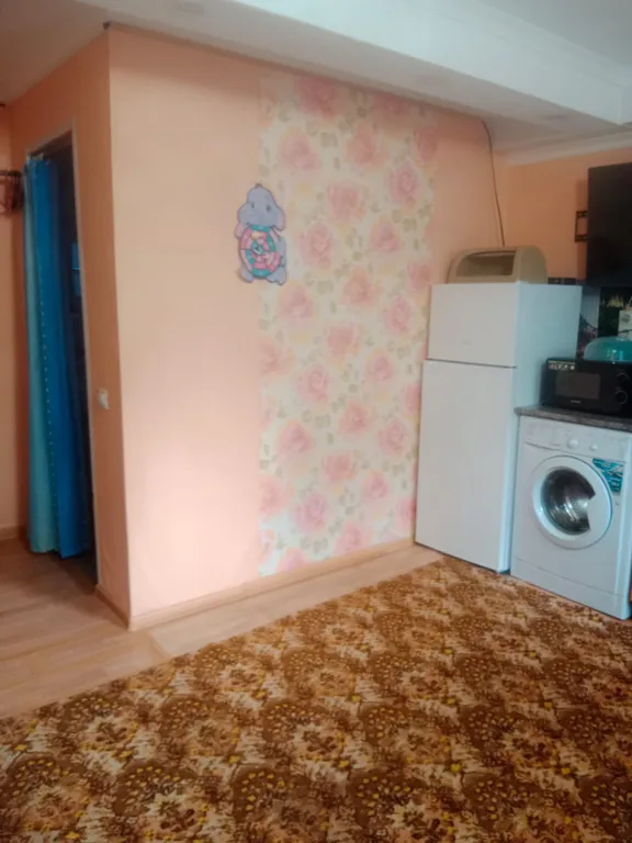 Уютная комната-студия в центре города с цветущим двориком с фонтанчиками