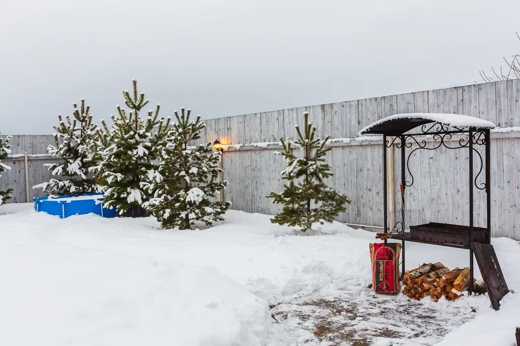 Дом с бассейном и сауной у леса
