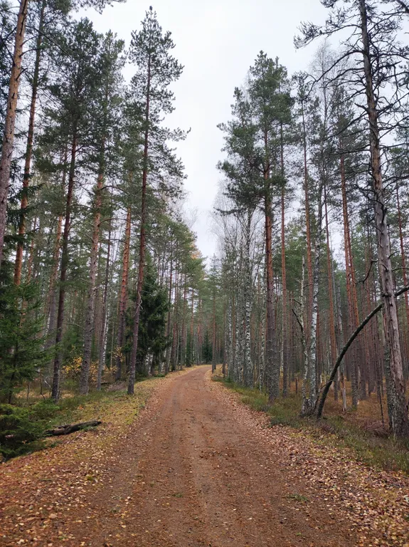Эко-воки загородный дом