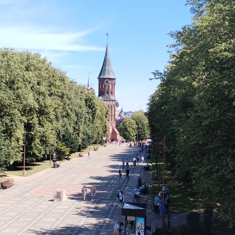 Квартира Уютная квартира в центре города — Калининград