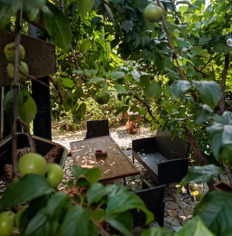 Коттедж Книжный дом с садом под виноградом — Кисловодск