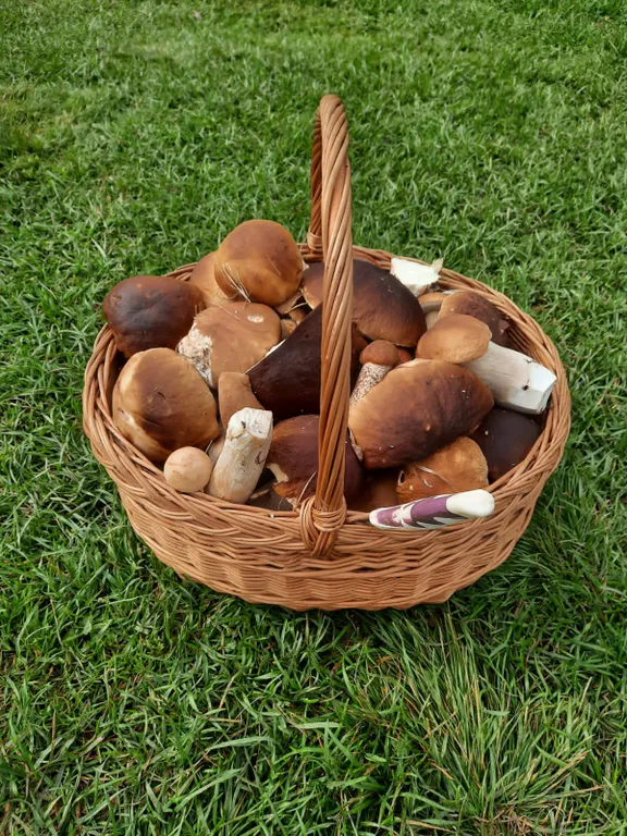 Домик для отдыха в Карелии