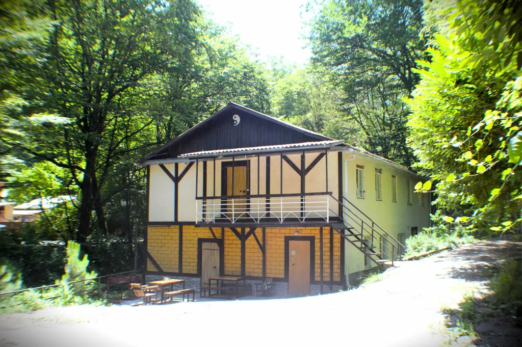 Большой дом для большой компании