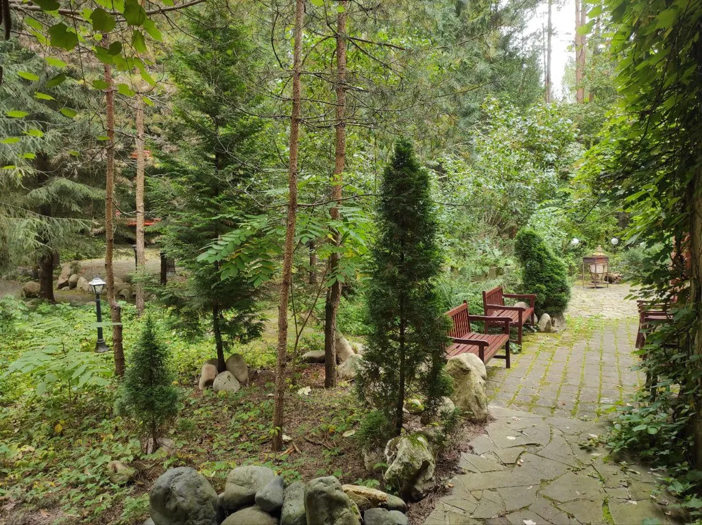 Коттедж Дом с тропическим бассейном, сауной и каминами — Московский