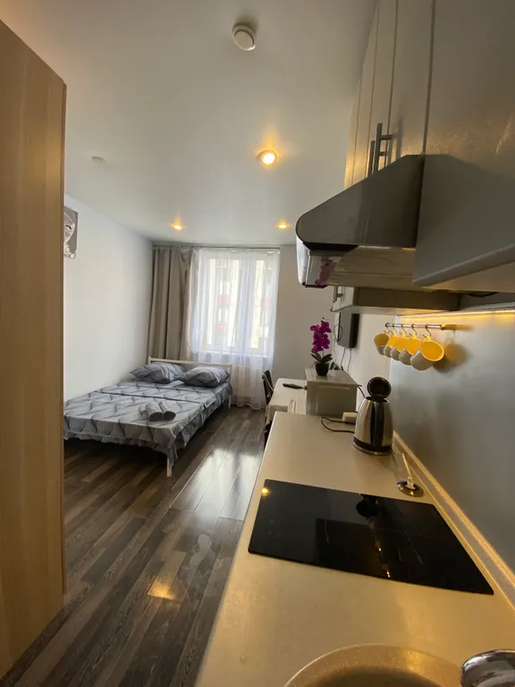 Уютная студия от 2 минут до МЦД Павшино