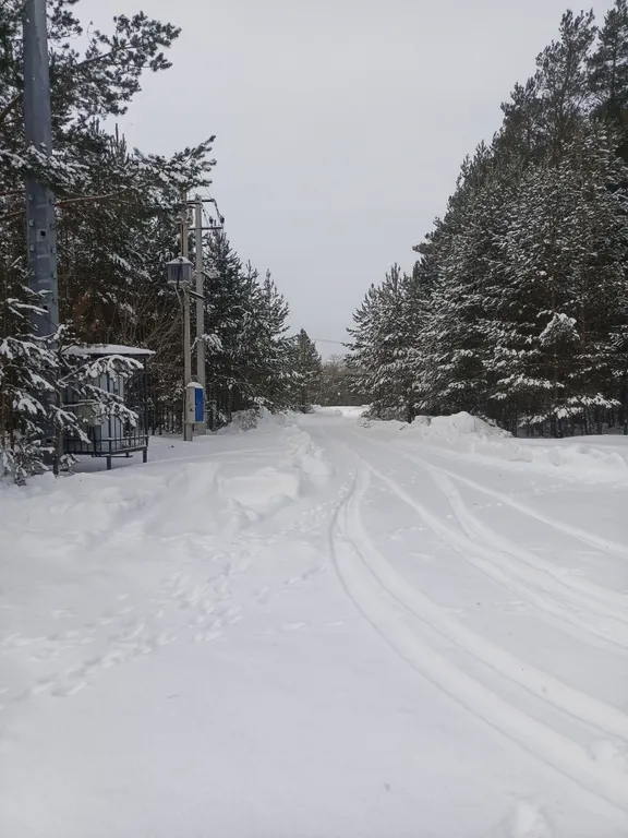 Лесной домик