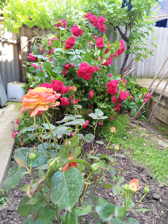 Жилье у моря