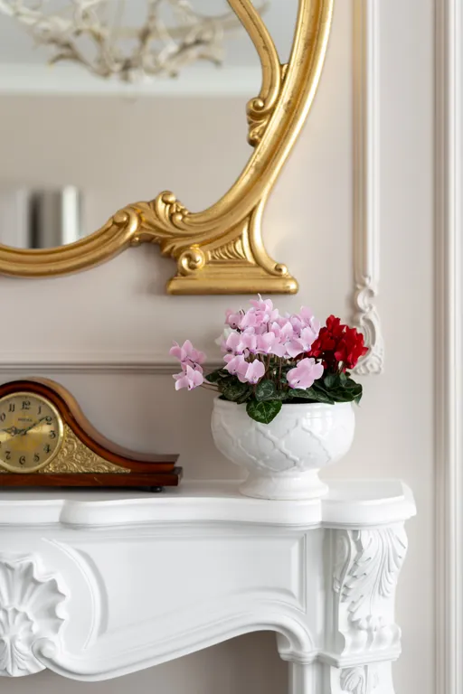 Роскошная квартира с уникальным видом на Неву