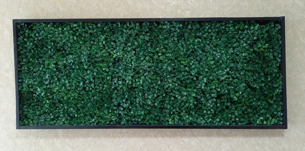 Солнечная орбита