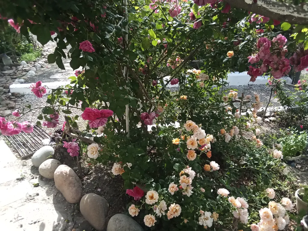 Жильё под ключ