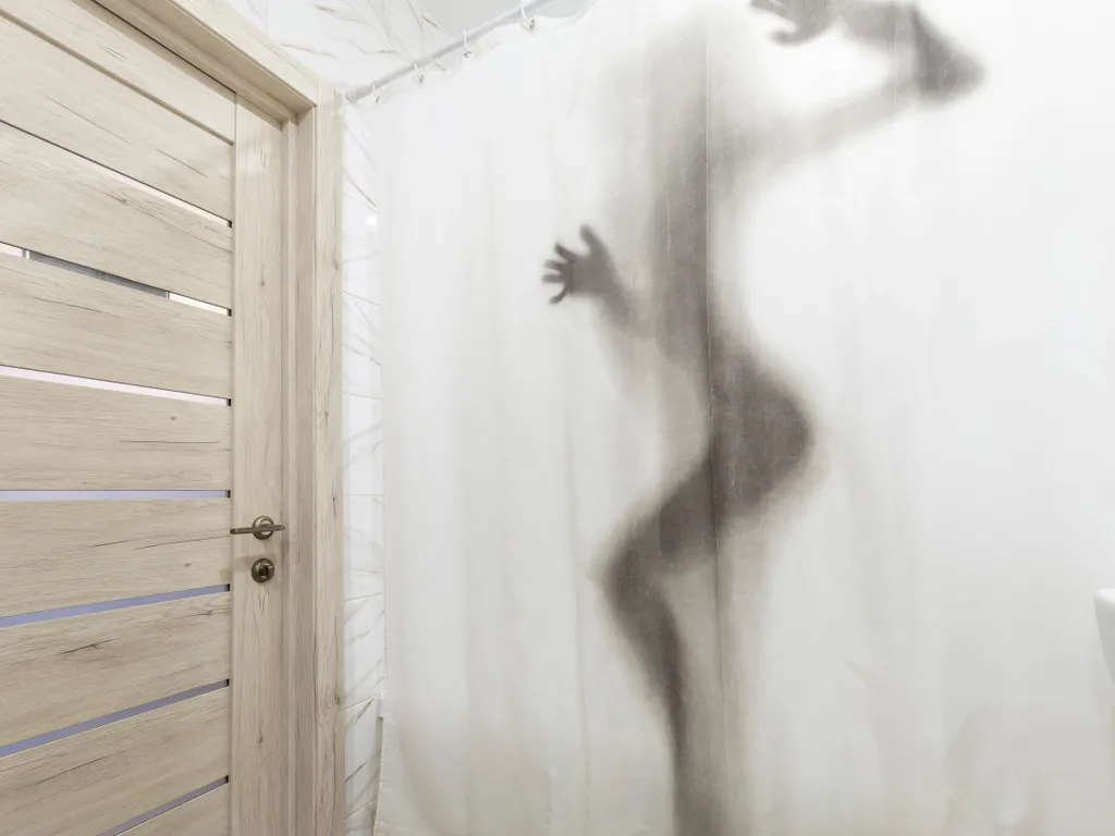 Однокомнатная квартира с видом на лес