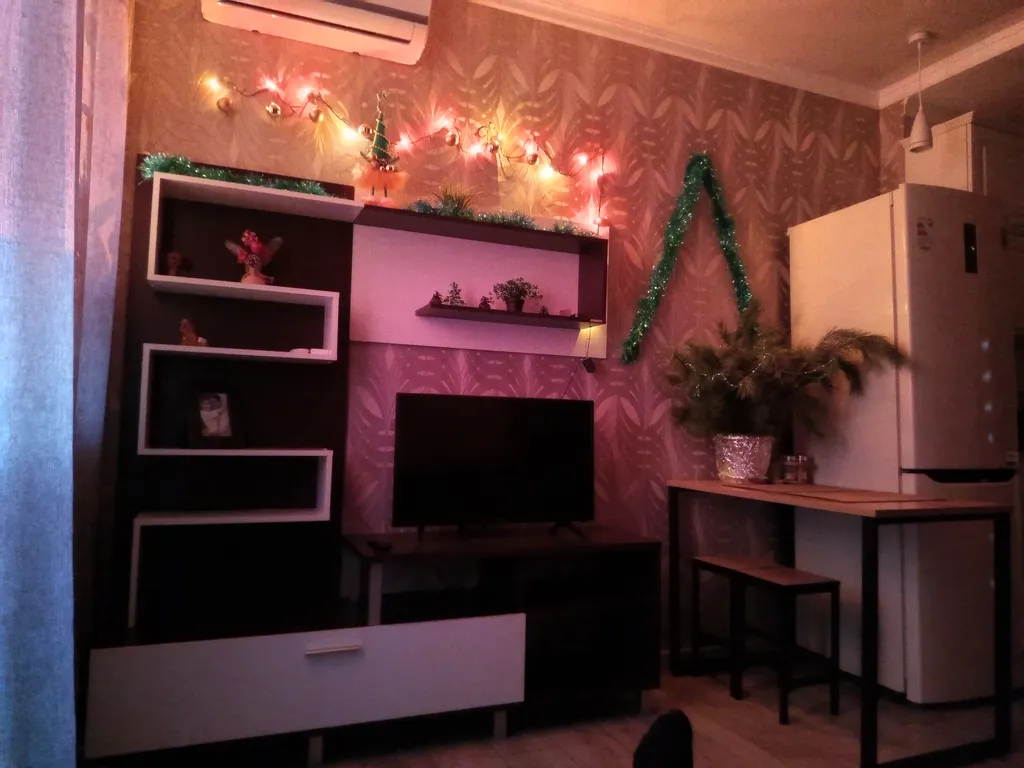 Современная квартира в центре города судобствами