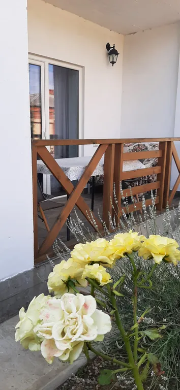 Коттедж Частный Дом — Кучугуры