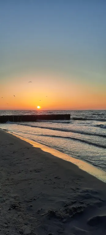 Квартира Уютный апартамент cranz — Зеленоградск