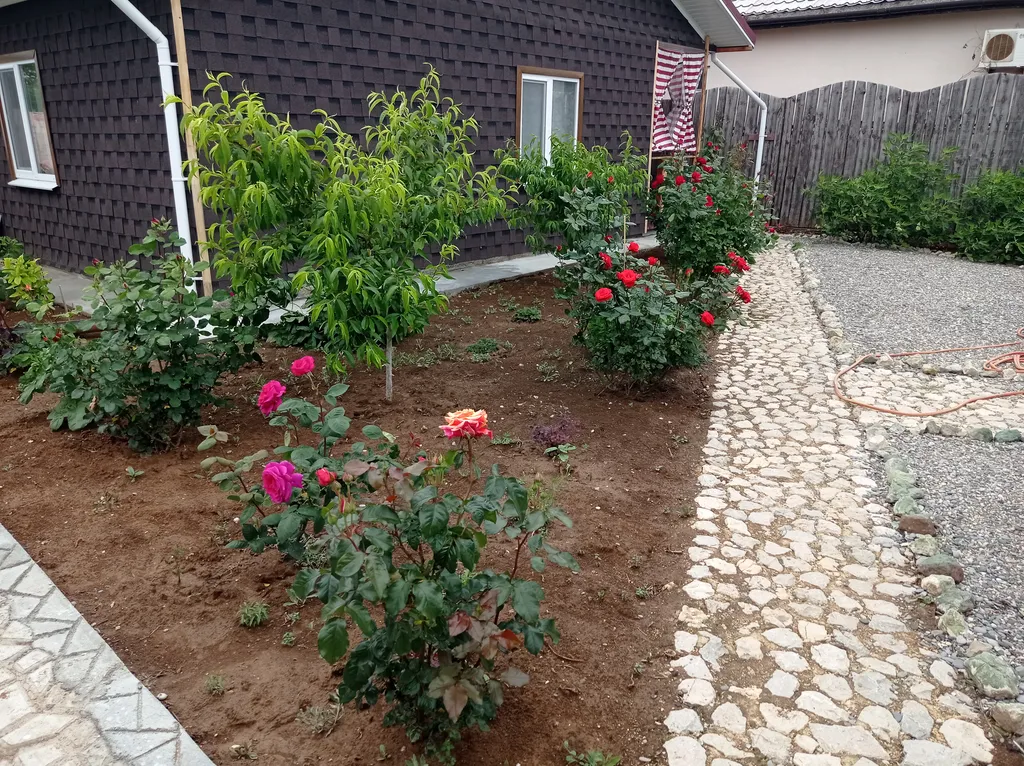 Квартира Комната — Витино