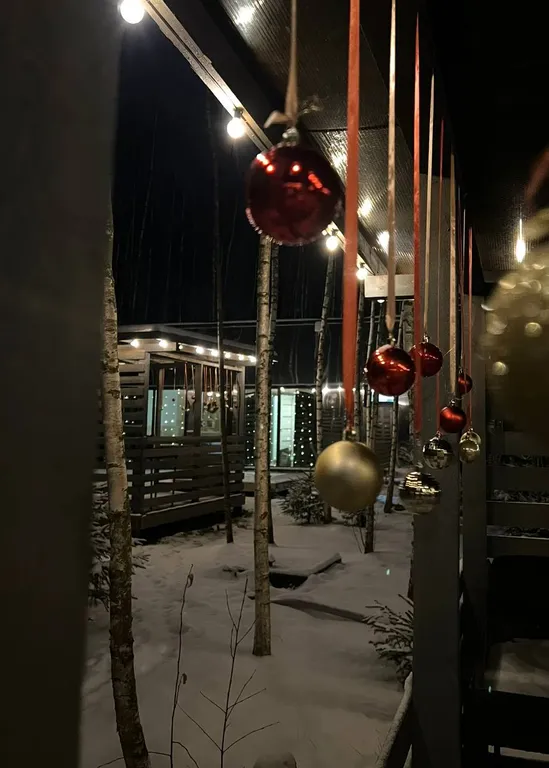 Коттедж Зеркальный дом у детской площадки до 6 человек, с собственной баней — Семеновское