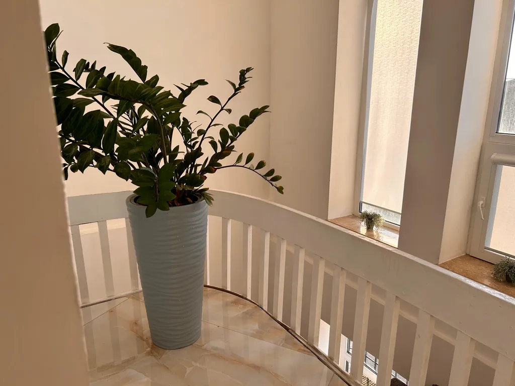 Номер Люкс в гостевом доме