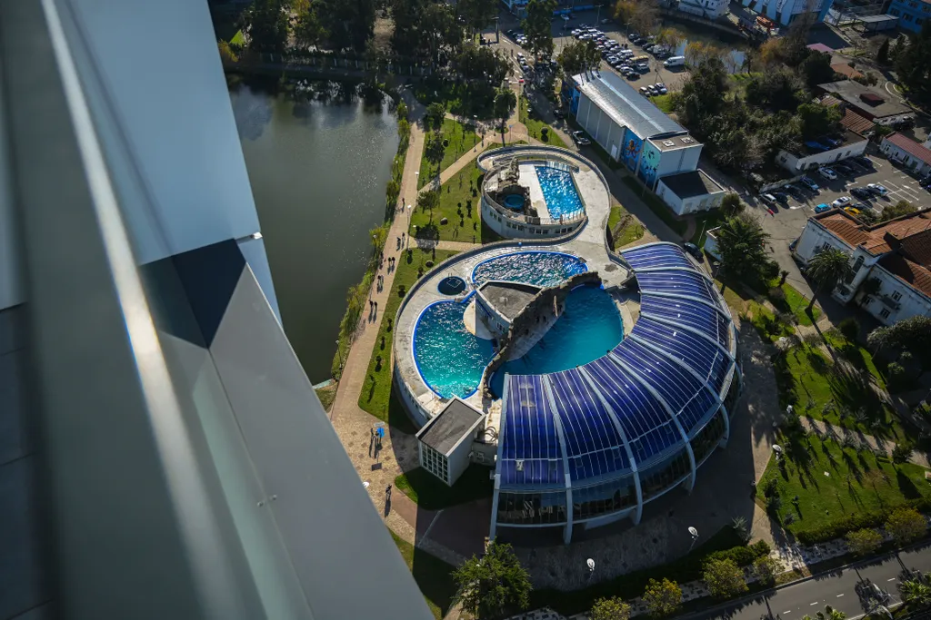 Люкс-апартаменты 0 линия, рядом с парком и дельфинарием