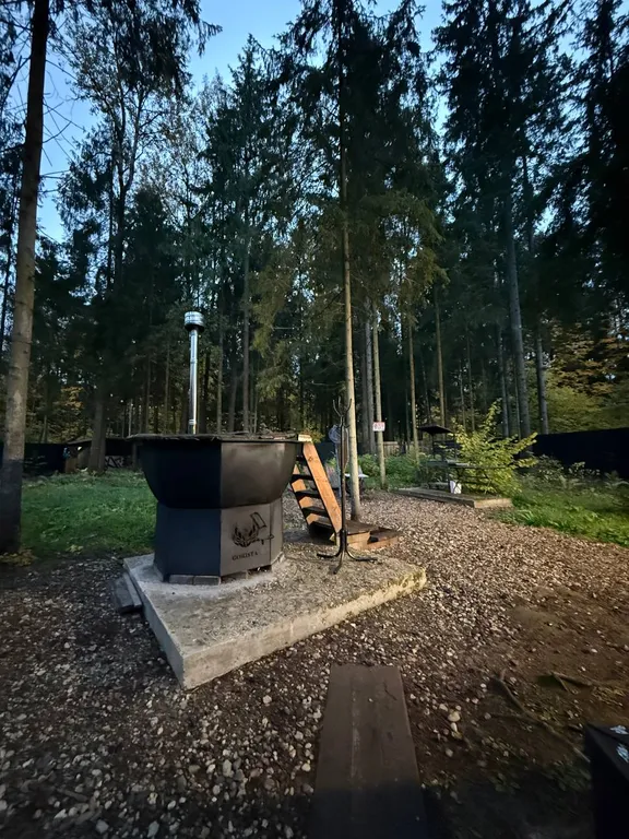 Уютный домик с банным чаном и панорамным видом на лес