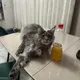 Борис