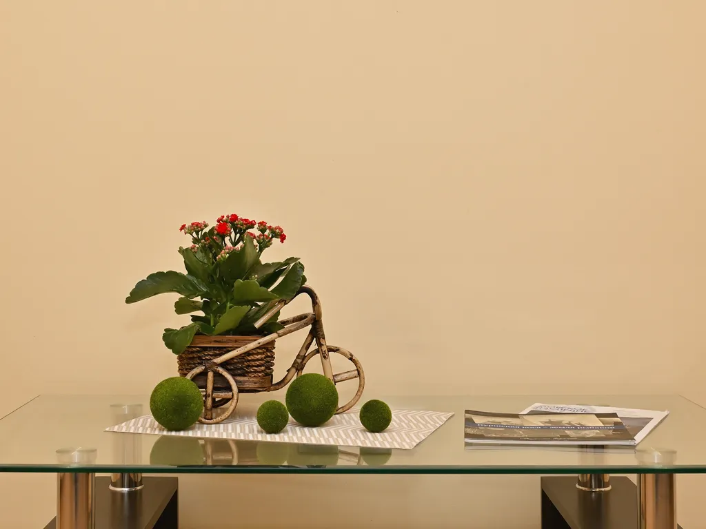 Уютная квартира рядом с зоопарком