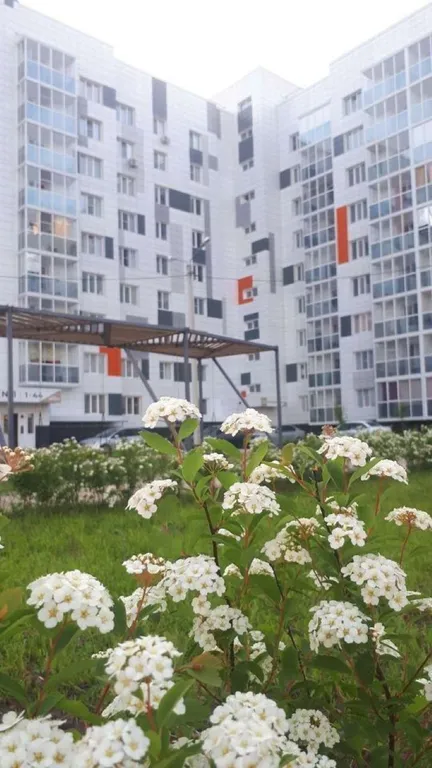 Светлая квартира