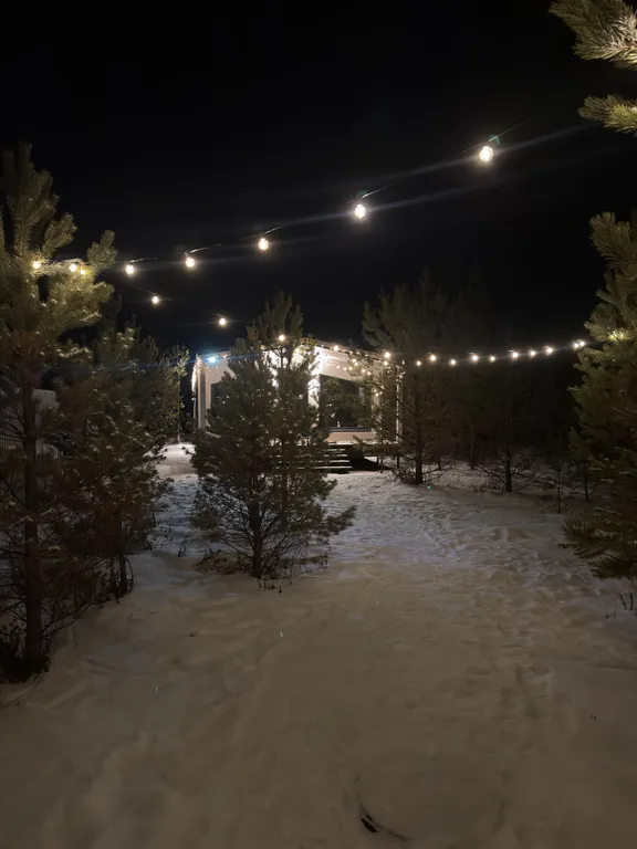 Домик в лесу