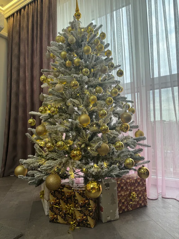 Апартаменты класса люкс Amber Luxe в самом центре Калининграда