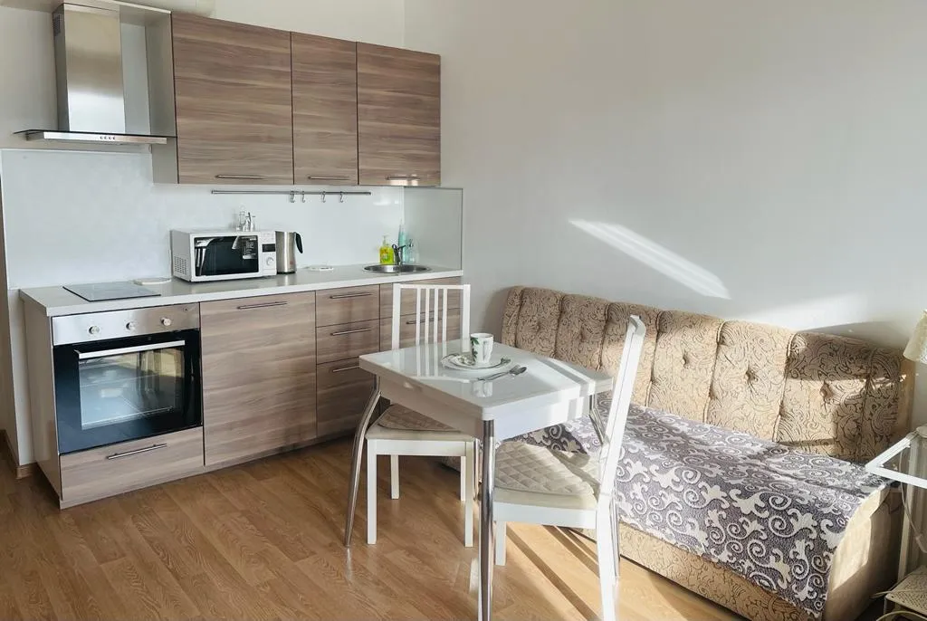 1-комнатная Квартира — аренда посуточно в Мурино