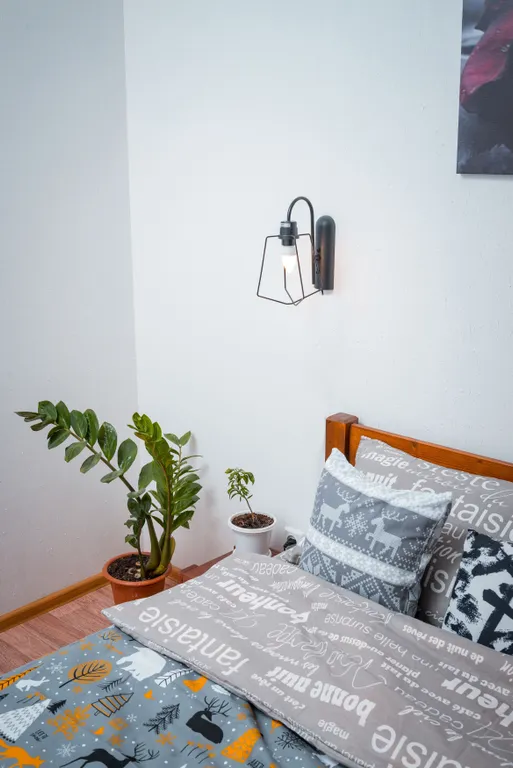 Студия на Холмогорова