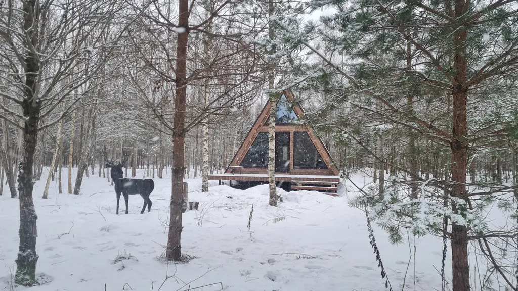 Домик в лесу Медвежья берлога