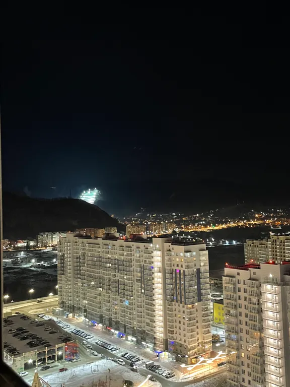 Квартира Уютная квартира с эксклюзивным видом — Красноярск