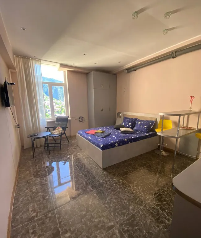 Боржоми с высоты полёта! - Уютная квартира в самом центре