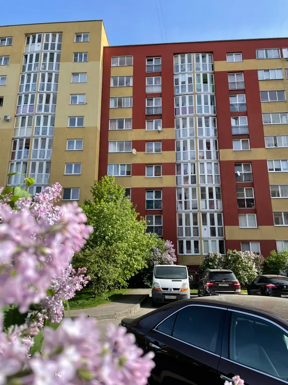 Квартира Уютная квартира — Калининград