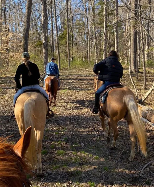 Домик в лесу с пятнистыми оленями и кроликами
