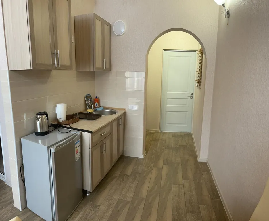 Квартира 1-комнатная Квартира — Сириус