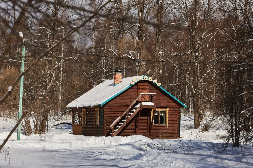 Домик с камином