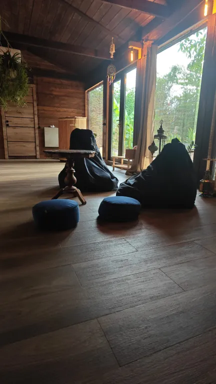 Большой дом