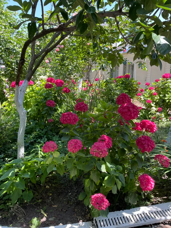 Квартира Комната — Лазаревское