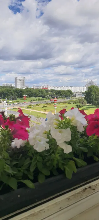 Квартира 2-комнатная Квартира — Минск