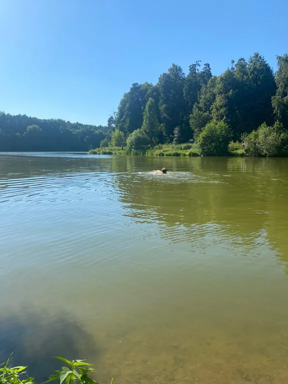 Квартира -хочу на дачу на территории заповедника