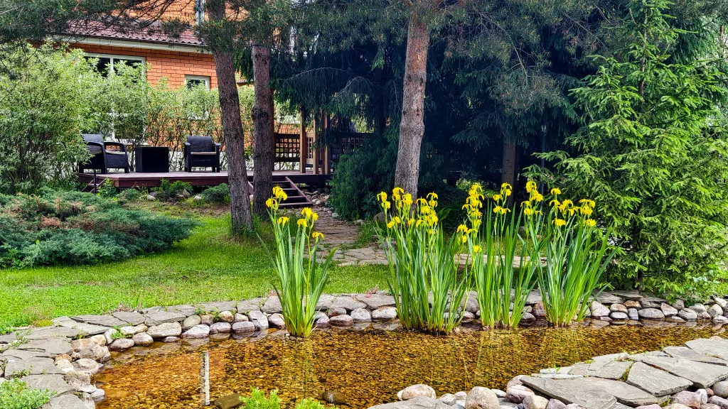 Романтика среди сосен!