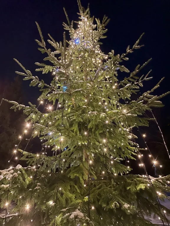 Коттедж Дом с летним бассейном, 3 спальни — Дубна