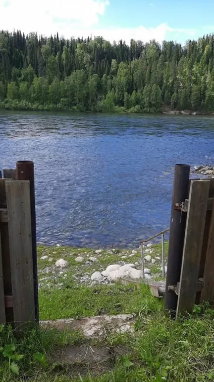 Дом из кедрового бруса