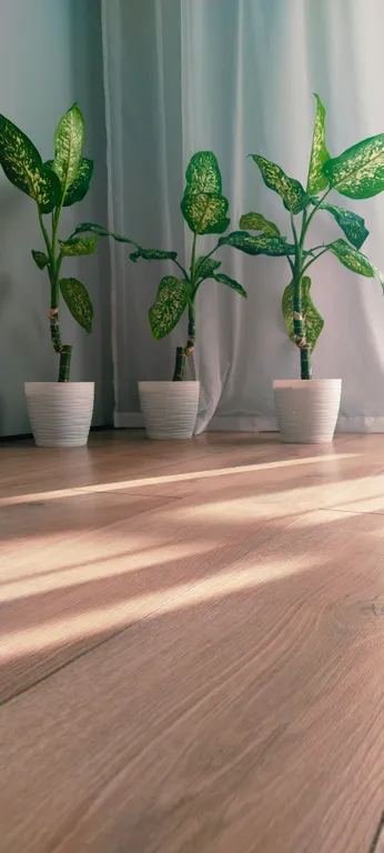 Уютно как дома