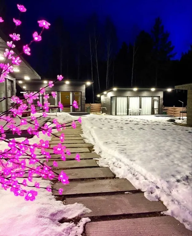 Домик Алтая