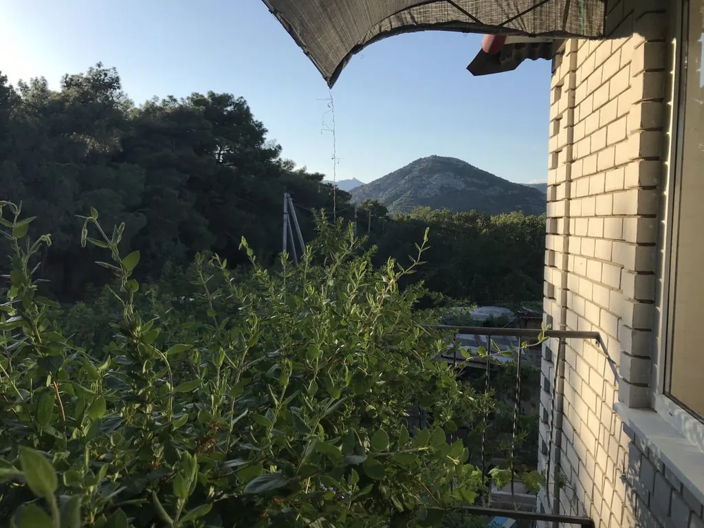 Коттедж Коттедж Forest house — Судак