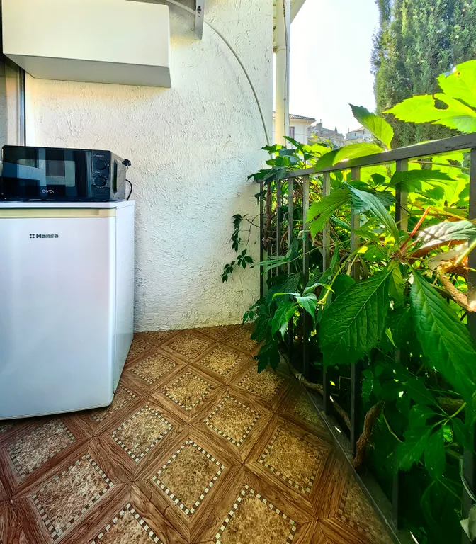 Улученный с. Балкон. Кондиционер. Микроволновка. Холодильник. Парковка